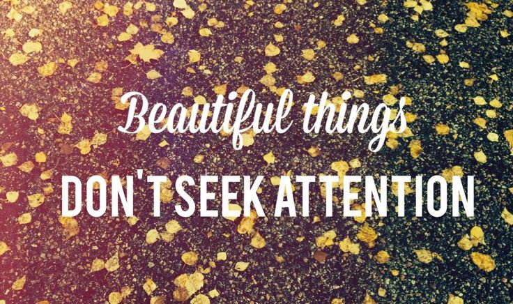 Beautiful things do not seek attention - the secret life of walter mitty quote